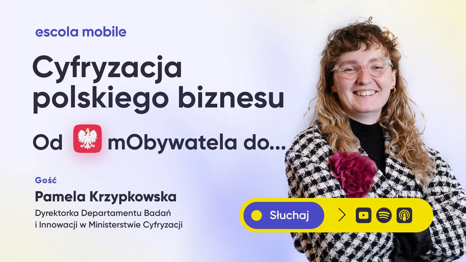 Jak wygląda cyfryzacja Polski i co robi Ministerstwo Cyfryzacji - Pamela Krzypkowska (MC)